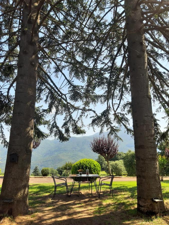 Casa Les Espelmes Villa Arbúcies Esterno foto